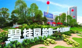 六安碧桂园爆料案件最新,揭开豪宅背后的惊人真相！”